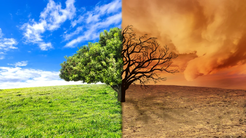 Uma imagem de uma árvore separada por dois climas: um fresco onde ela está viva e um árido onde ela está seca e inerte.